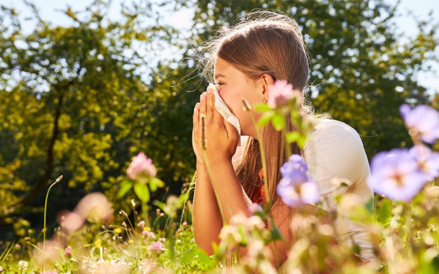 Heuschnupfen verstehen: Ein Leitfaden für die Pollensaison